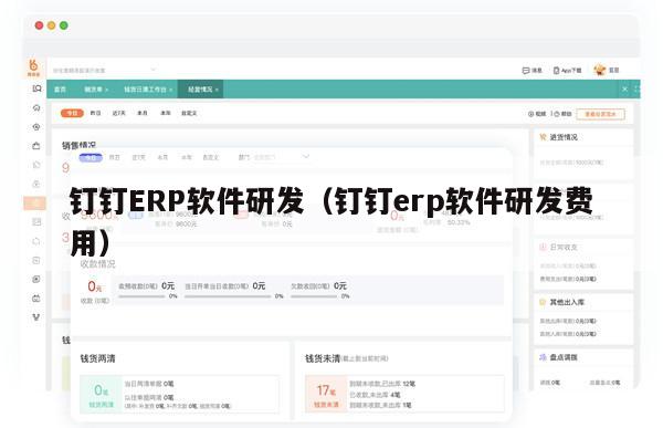 钉钉ERP软件研发（钉钉erp软件研发费用）