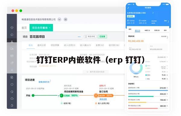 钉钉ERP内嵌软件（erp 钉钉）