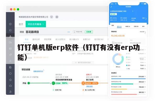 钉钉单机版erp软件（钉钉有没有erp功能）