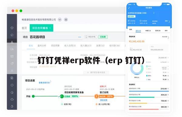 钉钉凭祥erp软件（erp 钉钉）