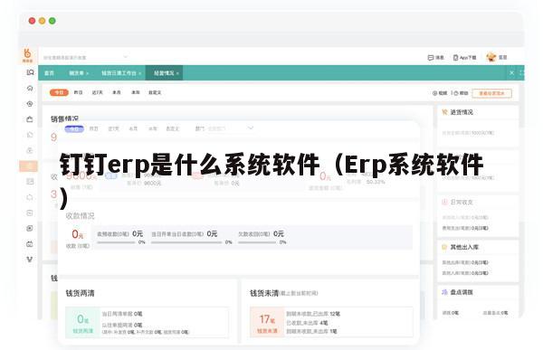 钉钉erp是什么系统软件（Erp系统软件）