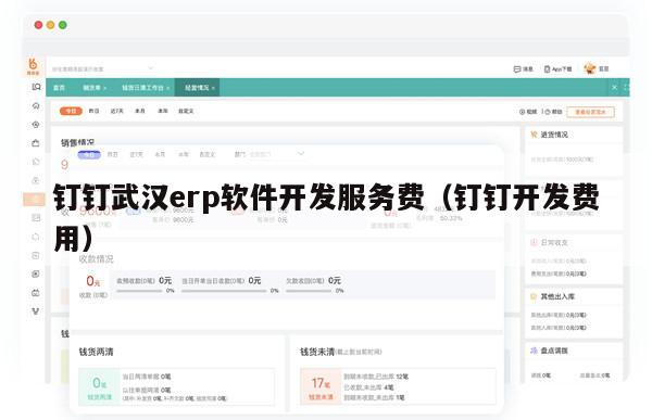 钉钉武汉erp软件开发服务费（钉钉开发费用）