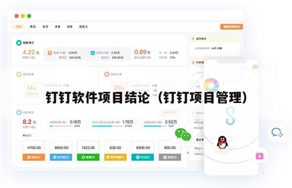 钉钉软件项目结论（钉钉项目管理）