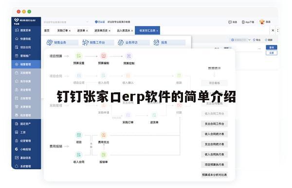 钉钉张家口erp软件的简单介绍