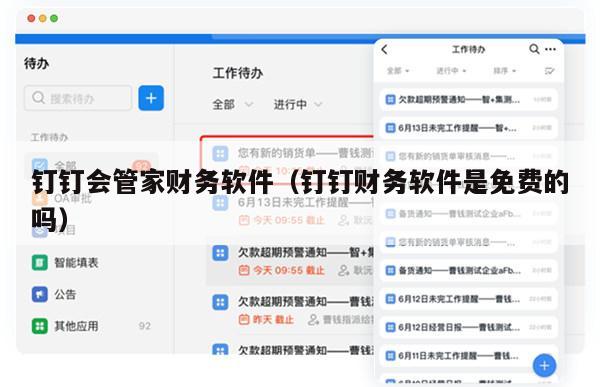 钉钉会管家财务软件（钉钉财务软件是免费的吗）