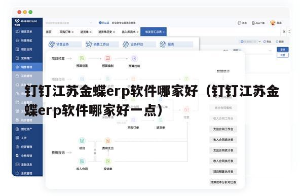 钉钉江苏金蝶erp软件哪家好（钉钉江苏金蝶erp软件哪家好一点）