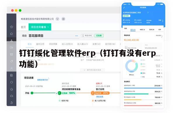 钉钉绥化管理软件erp（钉钉有没有erp功能）