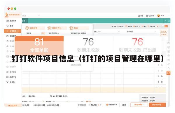 钉钉软件项目信息（钉钉的项目管理在哪里）