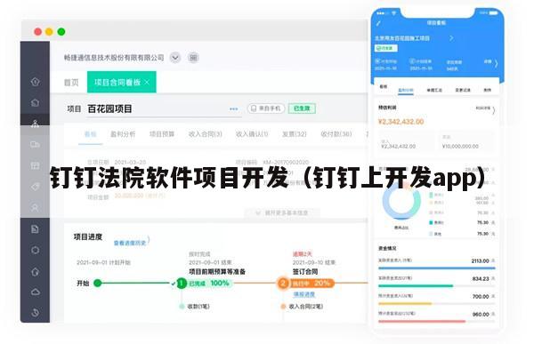 钉钉法院软件项目开发（钉钉上开发app）