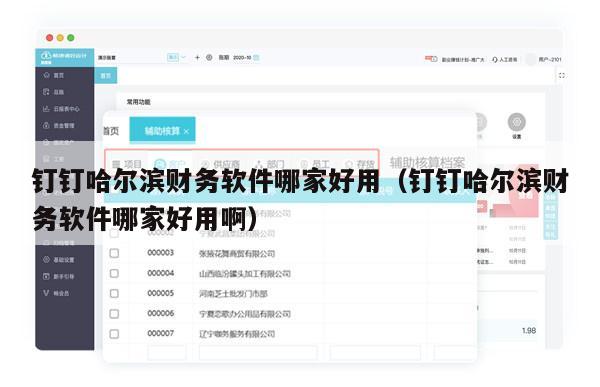 钉钉哈尔滨财务软件哪家好用（钉钉哈尔滨财务软件哪家好用啊）