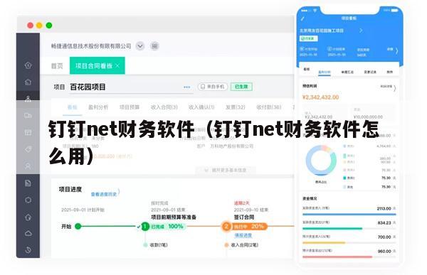 钉钉net财务软件（钉钉net财务软件怎么用）