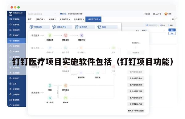 钉钉医疗项目实施软件包括（钉钉项目功能）