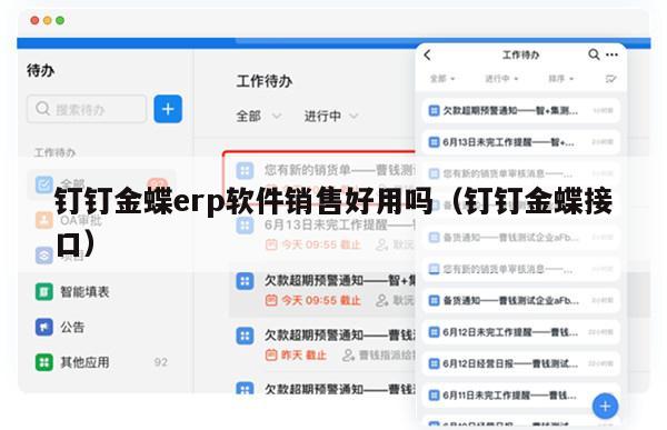 钉钉金蝶erp软件销售好用吗（钉钉金蝶接口）