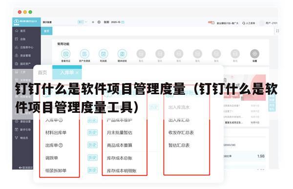 钉钉什么是软件项目管理度量（钉钉什么是软件项目管理度量工具）