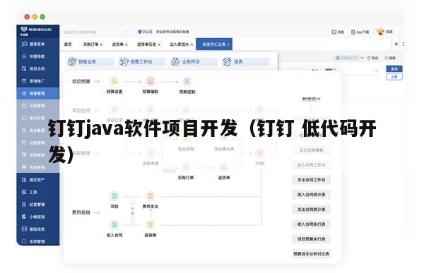 钉钉java软件项目开发（钉钉 低代码开发）