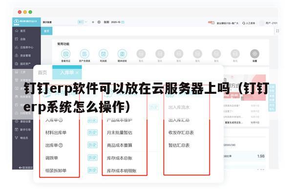 钉钉erp软件可以放在云服务器上吗（钉钉erp系统怎么操作）