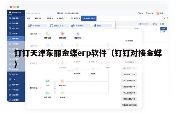 钉钉天津东丽金蝶erp软件（钉钉对接金蝶）
