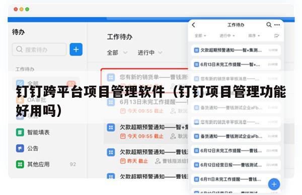钉钉跨平台项目管理软件（钉钉项目管理功能好用吗）
