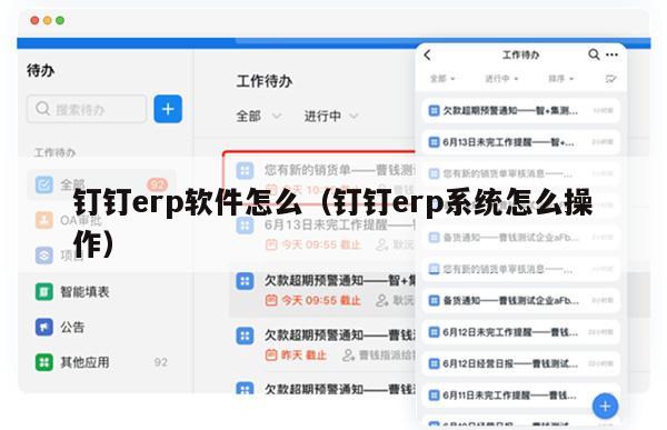 钉钉erp软件怎么（钉钉erp系统怎么操作）