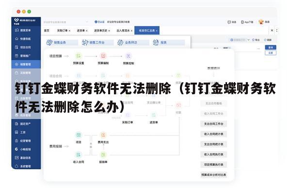 钉钉金蝶财务软件无法删除（钉钉金蝶财务软件无法删除怎么办）