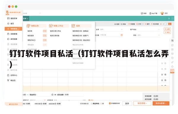 钉钉软件项目私活（钉钉软件项目私活怎么弄）