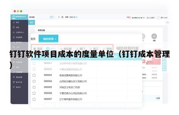 钉钉软件项目成本的度量单位（钉钉成本管理）