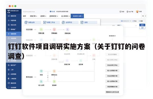 钉钉软件项目调研实施方案（关于钉钉的问卷调查）
