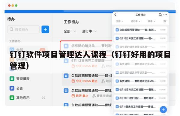 钉钉软件项目管理达人课程（钉钉好用的项目管理）