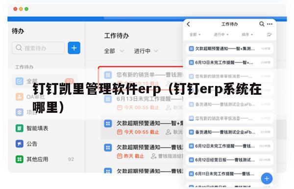 钉钉凯里管理软件erp（钉钉erp系统在哪里）