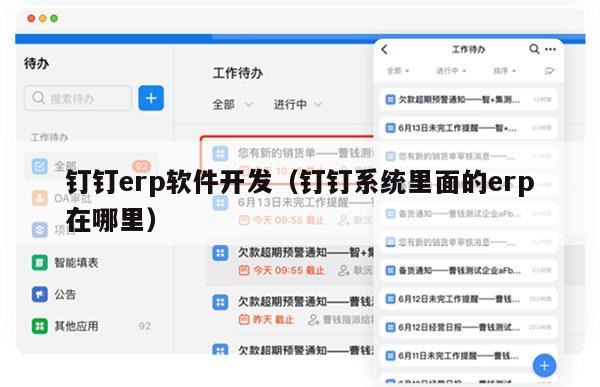 钉钉erp软件开发（钉钉系统里面的erp在哪里）