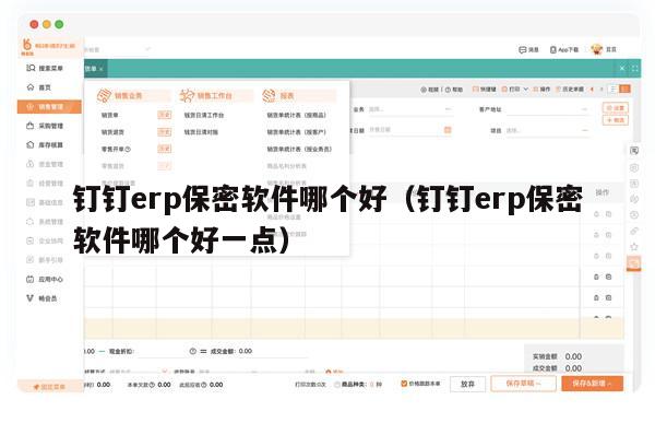 钉钉erp保密软件哪个好（钉钉erp保密软件哪个好一点）