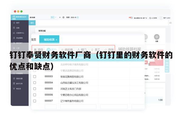 钉钉奉贤财务软件厂商（钉钉里的财务软件的优点和缺点）