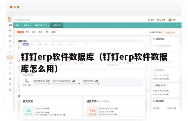 钉钉erp软件数据库（钉钉erp软件数据库怎么用）