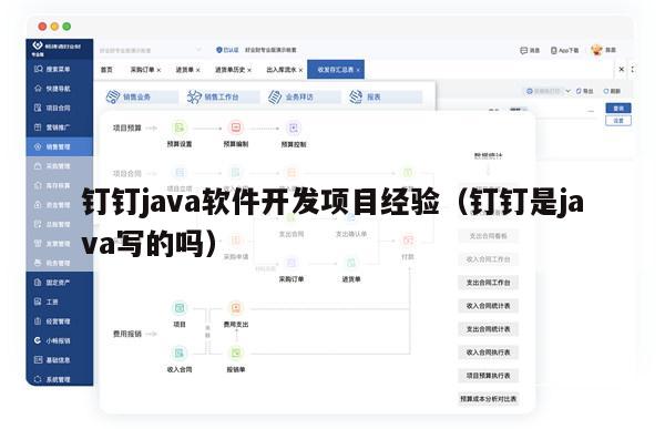 钉钉java软件开发项目经验（钉钉是java写的吗）