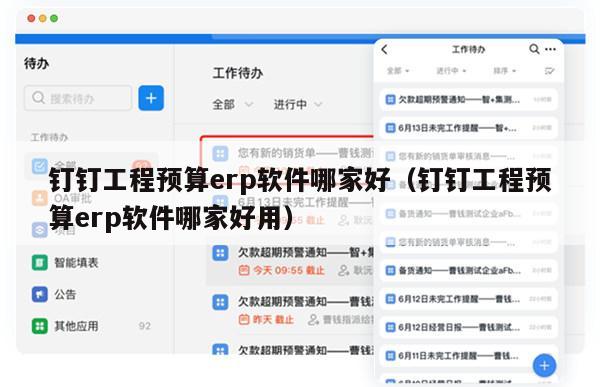 钉钉工程预算erp软件哪家好（钉钉工程预算erp软件哪家好用）