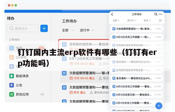 钉钉国内主流erp软件有哪些（钉钉有erp功能吗）