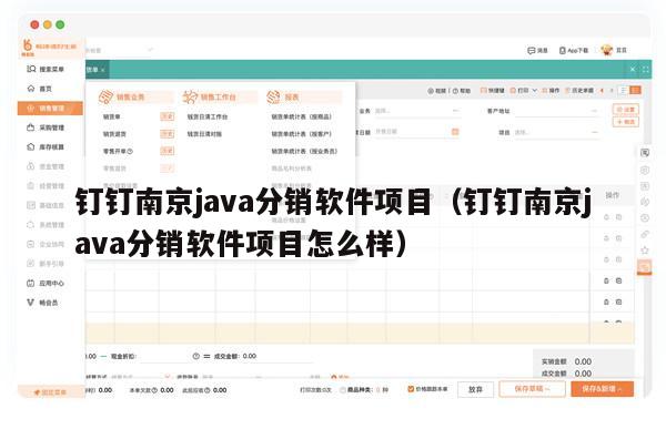 钉钉南京java分销软件项目（钉钉南京java分销软件项目怎么样）