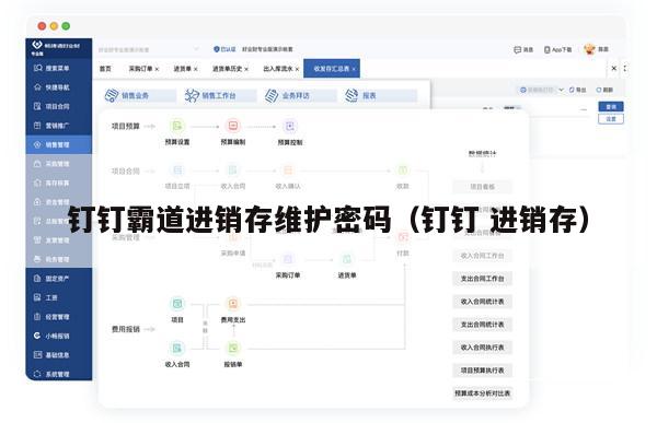 钉钉霸道进销存维护密码（钉钉 进销存）