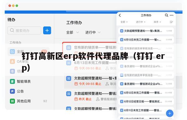 钉钉高新区erp软件代理品牌（钉钉 erp）