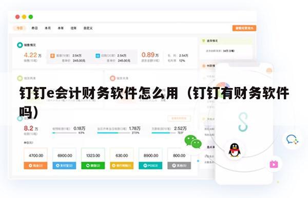 钉钉e会计财务软件怎么用（钉钉有财务软件吗）