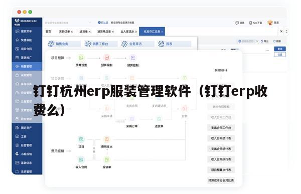 钉钉杭州erp服装管理软件（钉钉erp收费么）