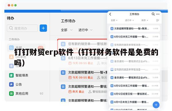钉钉财贸erp软件（钉钉财务软件是免费的吗）