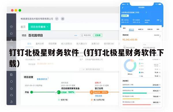 钉钉北极星财务软件（钉钉北极星财务软件下载）