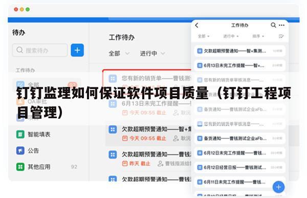 钉钉监理如何保证软件项目质量（钉钉工程项目管理）