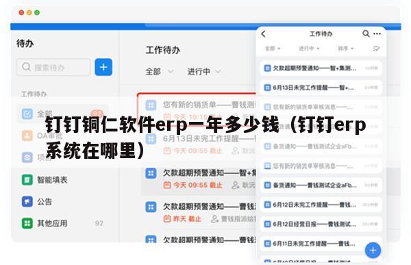 钉钉铜仁软件erp一年多少钱（钉钉erp系统在哪里）
