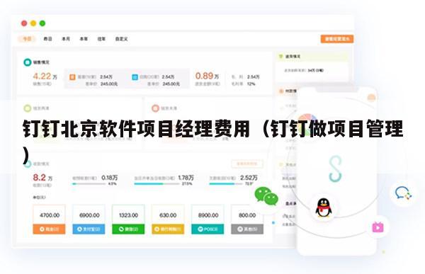 钉钉北京软件项目经理费用（钉钉做项目管理）