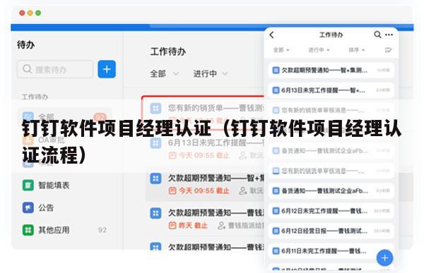 钉钉软件项目经理认证（钉钉软件项目经理认证流程）