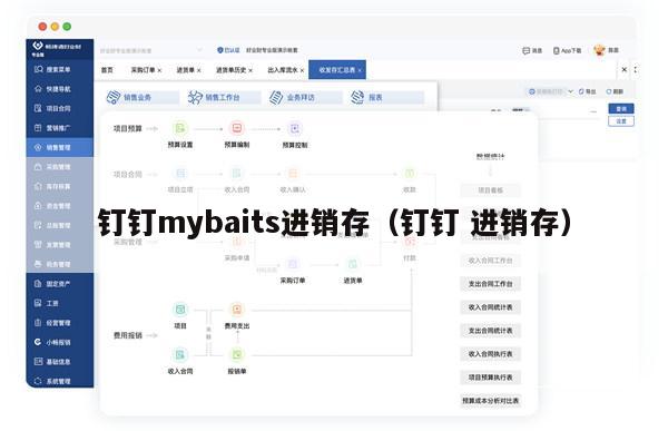 钉钉mybaits进销存（钉钉 进销存）