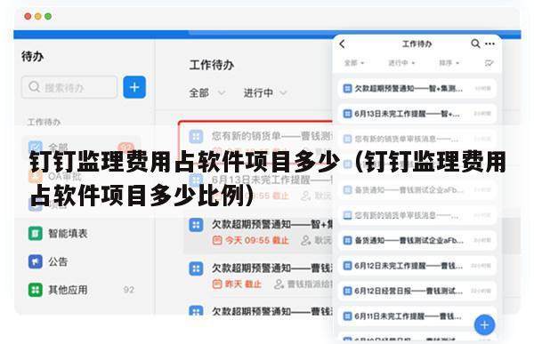 钉钉监理费用占软件项目多少（钉钉监理费用占软件项目多少比例）