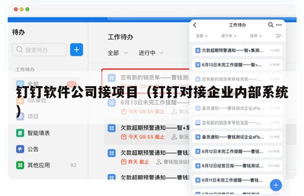 钉钉软件公司接项目（钉钉对接企业内部系统）